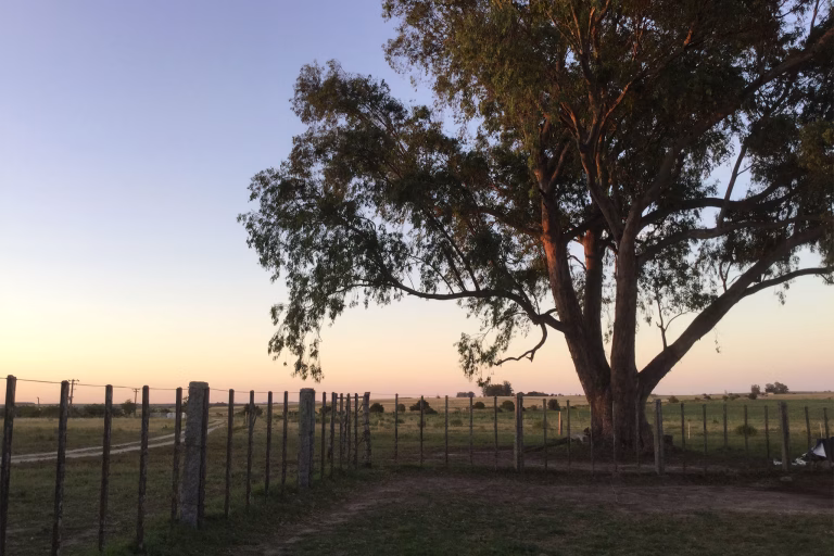 Estancia El Ceibo - Uruguay ranch